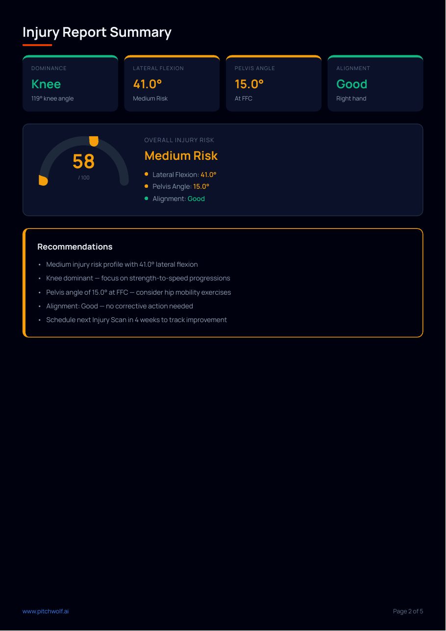 Injury Scan report summary